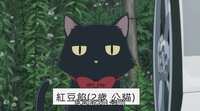 https://images.plurk.com/3FKKcJm14KcIcecpSXTEgr.png