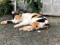 https://images.plurk.com/3FOqSv3FyW5AT4tT0KGrCx.jpg