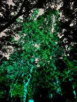 https://images.plurk.com/3FS6sEd8h6DKlbot6PqeWS.jpg