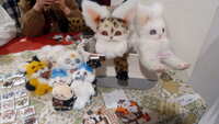 https://images.plurk.com/3FSJk7wLWZM68DR9zWf3i3.jpg