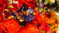 https://images.plurk.com/3FY9lp0BWWuS4RFrYpMlVO.jpg