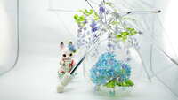 https://images.plurk.com/3FbR1G6PJdrhkntDAxWTLD.jpg