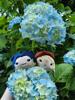 https://images.plurk.com/3Ff3SxIUjjSUEF1KPowoos.jpg