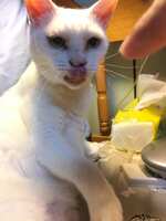 https://images.plurk.com/3Fns24rbonHFPQFbLq197A.jpg