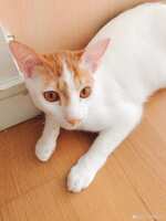 https://images.plurk.com/3FqjyAVLCgxIaADscWhf61.jpg