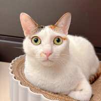 https://images.plurk.com/3FuULFvjdjyxHsgTaqwCQI.jpg
