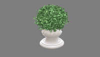 https://images.plurk.com/3Fww5z185NAZEpi5OBzkD7.jpg