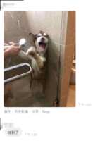 https://images.plurk.com/3G1kBo5qGdxFmsnFsSRkNg.png