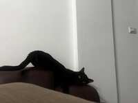 https://images.plurk.com/3GB0XcsZfZNBlZtqLTNPk0.jpg