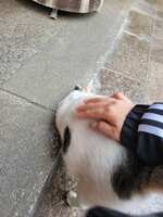 https://images.plurk.com/3GE1SbRGL2WsvRw4vH0xFT.jpg