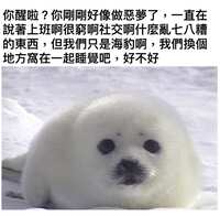 https://images.plurk.com/3GE1xWWe8VOSgtss2s5bgz.png