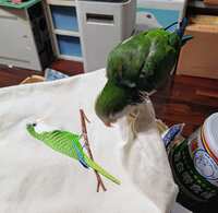 https://images.plurk.com/3GOOAtEZ3fb0gBsd4HaYje.jpg
