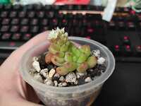 https://images.plurk.com/3GXKPrqPYX2mrttyyVdtCz.jpg