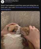 https://images.plurk.com/3GaXTDzlenlbPE7riN6j7V.jpg