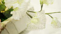 https://images.plurk.com/3GbrZ36Jnn36Z3j3JQhEu4.jpg