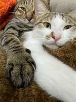 https://images.plurk.com/3Gcg3dSlFS0CHrBxrhJad0.jpg