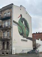 https://images.plurk.com/3GkirZEiP85vyJGbJTTkqs.jpg