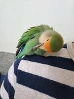 https://images.plurk.com/3GsEWteFTcY4WiXhttosNa.jpg