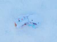 https://images.plurk.com/3GtmOhHU4lvrmTYiX6JGb9.jpg