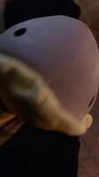 https://images.plurk.com/3GvAORRGICjU0dMDl76IT1.png