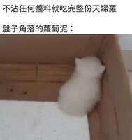 https://images.plurk.com/3GyfLgUY1GW1BA3uB7e07T.jpg