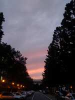 https://images.plurk.com/3H1wm5gWp1lTjj5kF8Yqq5.jpg