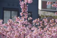 https://images.plurk.com/3H4NFTdUNKllcbYO4RChQM.jpg