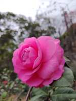 https://images.plurk.com/3H6KdobtK89FbcVocCvmeC.jpg