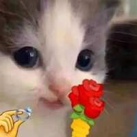 https://images.plurk.com/3HGutWGsp4hNahgcExLmKy.jpg