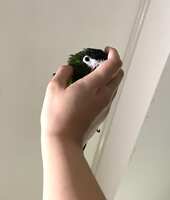 https://images.plurk.com/3HONvjeKuWqS8RRYAkCu68.jpg