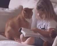 https://images.plurk.com/3HUf0rs7MGveGrhtb0cM87.gif