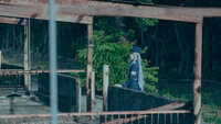 https://images.plurk.com/3HVpBpvkNvIzpi7O5PbYJW.jpg