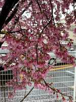 https://images.plurk.com/3He05m0I04KVMUJcSdd35V.jpg