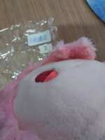 https://images.plurk.com/3HfqVbXx5UWKLUIGe6NuGB.jpg