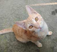 https://images.plurk.com/3HkI1GcYoBtVyc0eNtTYP3.jpg