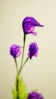 https://images.plurk.com/3Hl0fnF9NRcxX1bBjHbu1y.jpg