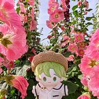 https://images.plurk.com/3HwKTJ6rzt38yleQEnWGT8.jpg