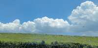 https://images.plurk.com/3Hx1yCE2o6sn0xCrxy69lI.jpg