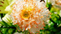 https://images.plurk.com/3Hzb1CDanTMtbYOE31fGNw.jpg