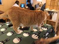 https://images.plurk.com/3I0loKjblThXFcnqNuLcht.jpg