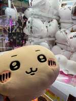 https://images.plurk.com/3I5SdjyhULHvyxJHlieAjb.jpg