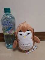 https://images.plurk.com/3IEHvnlQXFO7m7CsIIfDSp.jpg