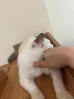 https://images.plurk.com/3IRY81teAsd8y0M00Y9s2C.jpg