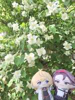 https://images.plurk.com/3IS03R7jxsm2UWOZPZhclm.jpg