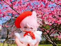 https://images.plurk.com/3ISCh3mg2TIUmDYl1IAgOL.jpg