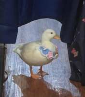 https://images.plurk.com/3IYA98RPeb7Q0S0qFtzFi6.jpg