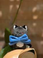 https://images.plurk.com/3IYpUETKKiyEDwob7wjdim.jpg