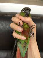 https://images.plurk.com/3IdLBzmywBPnE0Rv8JEs2w.jpg