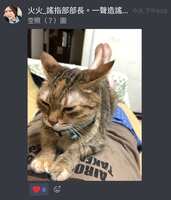 https://images.plurk.com/3Ii5HMMcHSMUfB70TWarqX.jpg