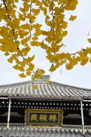 https://images.plurk.com/3Ii5IEUyxPKAbi7Evr3b29.jpg